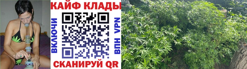 Наркошоп купить Псилоцибиновые грибы  Меф  APVP  Гашиш  Конопля  Амфетамин  Алагир