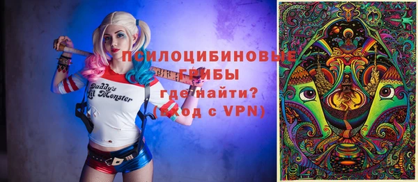 PSILOCYBIN Медногорск